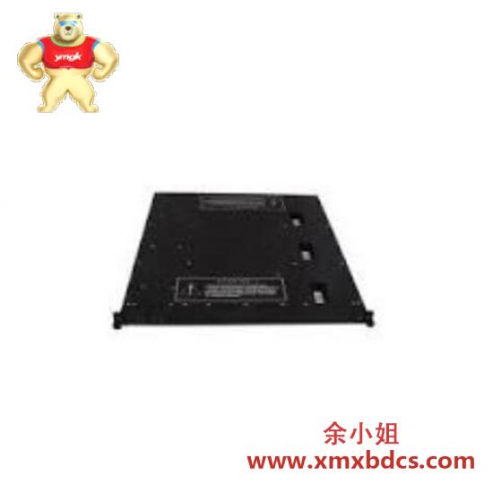 TRICONEX 4000094-313