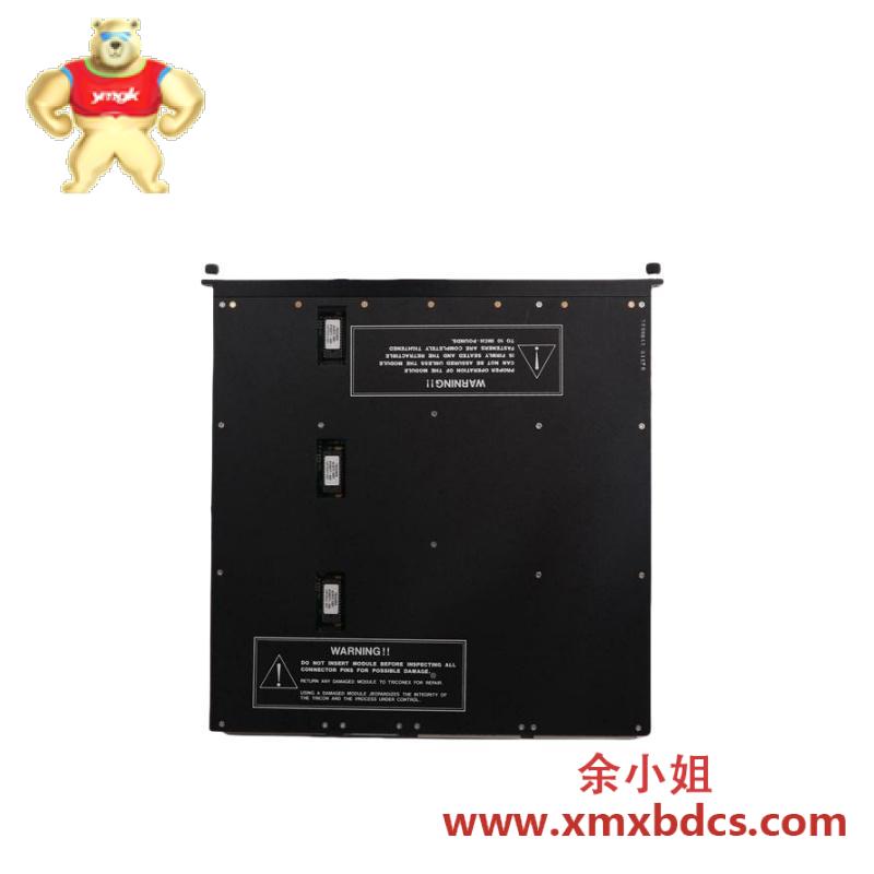 TRICONEX 4000094-313