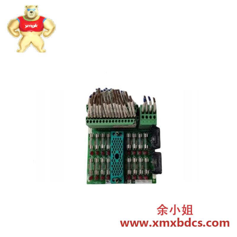 TRICONEX 9662-810