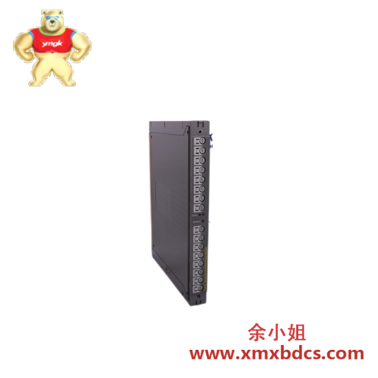 PLC Trusted T8873  ICS Triplex