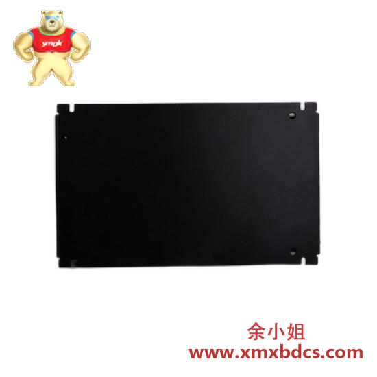 WOODWARD WOODWARD 5466-409 Power Supply Module