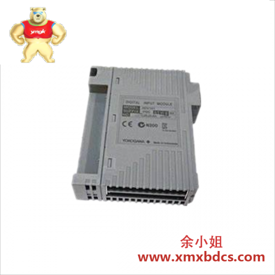 YOKOGAWA YOKOGAWA AAI543-H03 General Analog I/O Modules