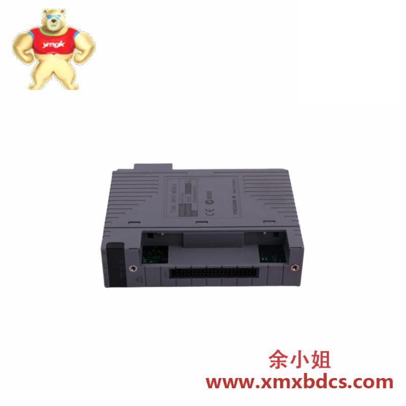 Yokogawa AAI543-H50 S1