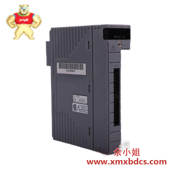 PLC 1732DS-IB8XOBV4 Safety Module