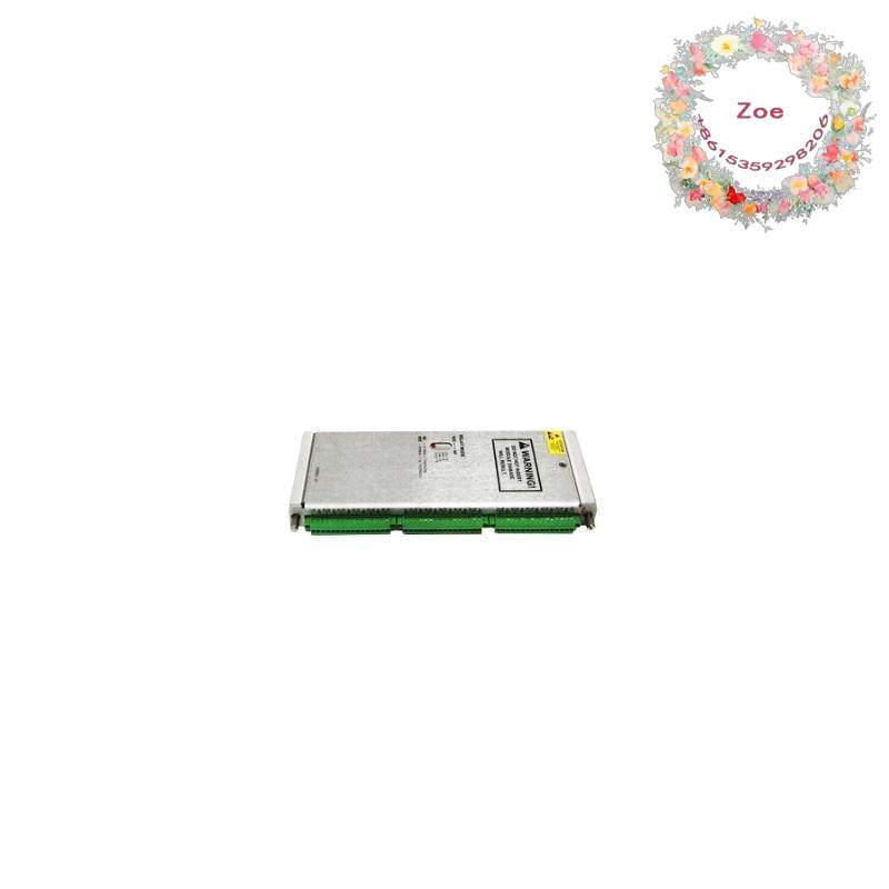 BENTLY NEVADA 3500/60 133819-01 RTD/TC Temp I/O Module