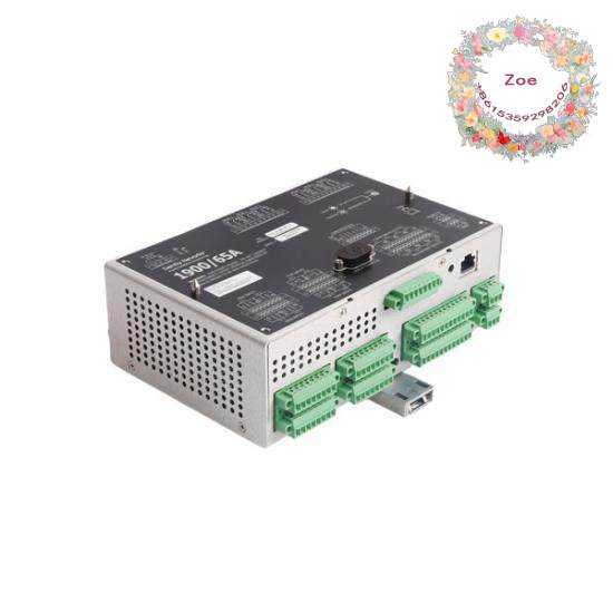 Bently Nevada 1900/65A 1900/65A-01-02-01-00-00 equipment Moniteur