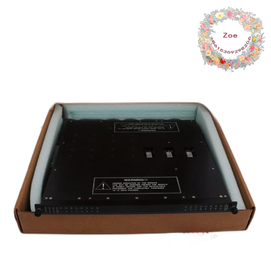 Triconex A06B-6107-H002