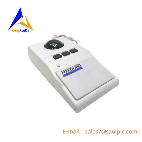 FOXBORO RTT20I1BNQFND1