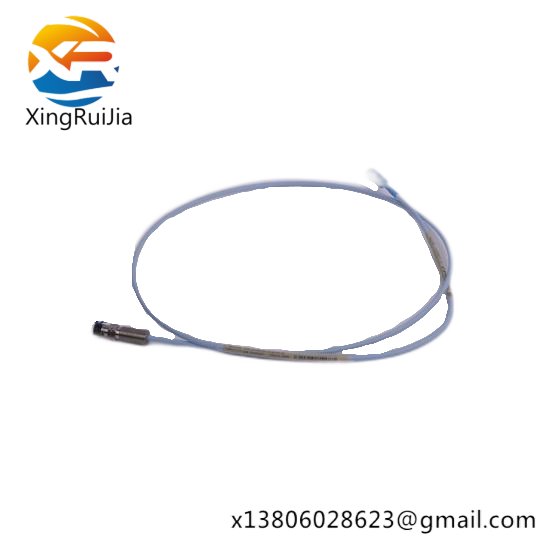 Bently Nevada 300103-A00-B09-C10-D02-E0