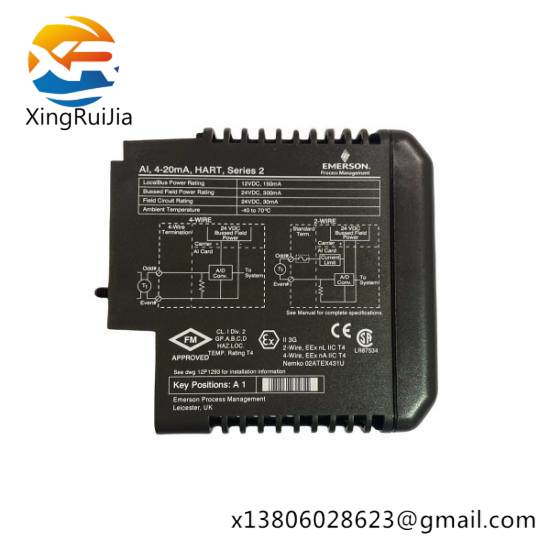 Emerson VE4003S2B2 DeltaV Analog Input Module