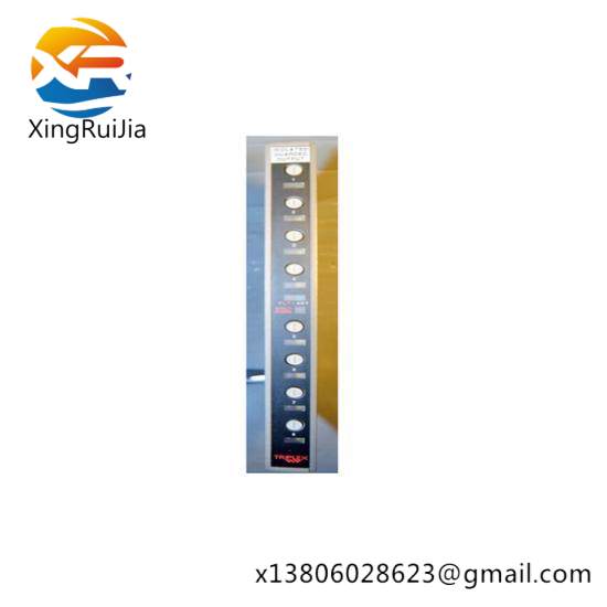 ICS TRIPLEX TC-306-02-2M5