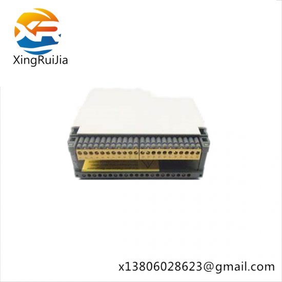 SCHNEIDER AS-BDAP-208 Discrete Output Relay