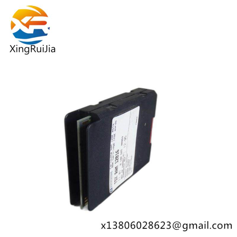 Schneider TSXRAM12816 MEMORY MODULE