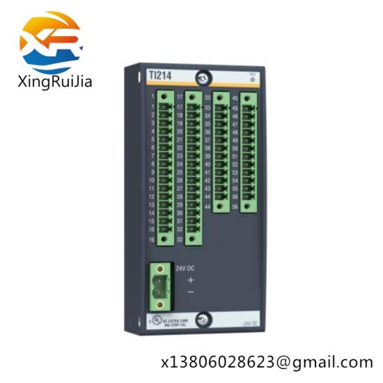 TI214 Temperature Input Module Bachmann