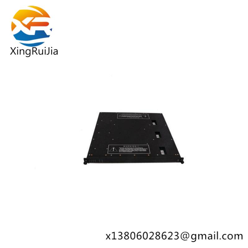TRICONEX 4000094-320 Module