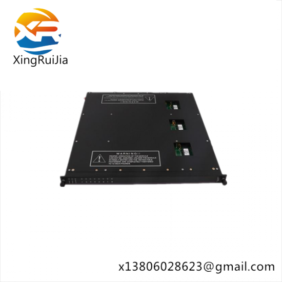 TRICONEX 9561-810