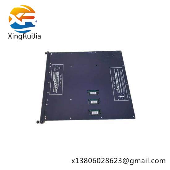 TRICONEX 9563-810