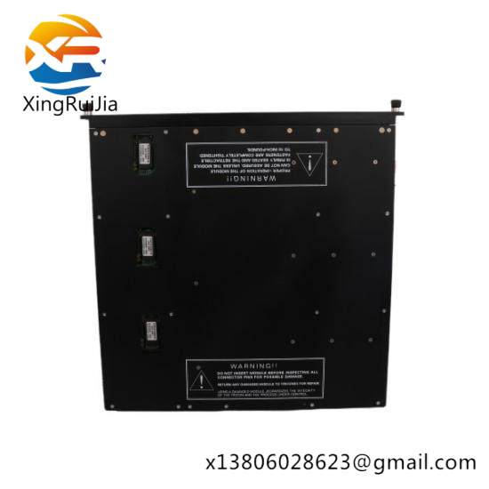 TRICONEX PM6301A