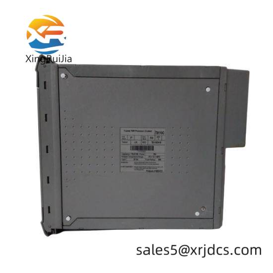 ICS TRIPLEX T8110C