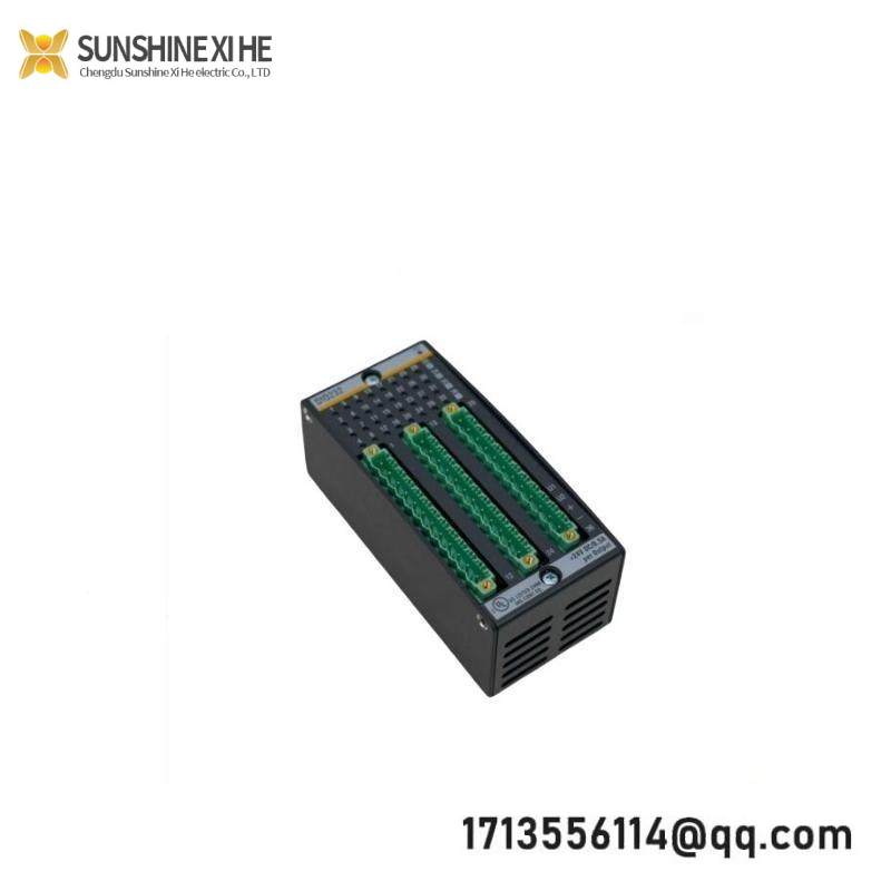 Bachmann DI0232 Digital Input/Output Module