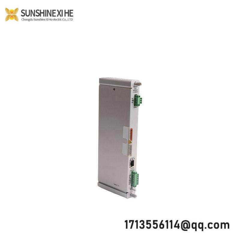 Bently Nevada 125736-01 I/O MODULE