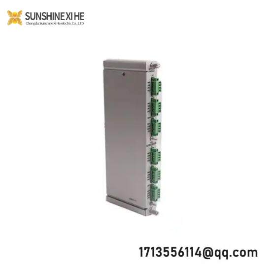 BENTLY NEVADA 133819-02 RTD/TC Temperature I/O Module