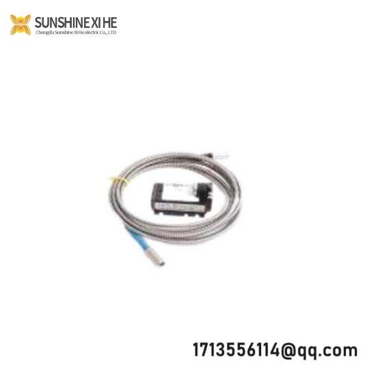 Emerson IC800BIK020