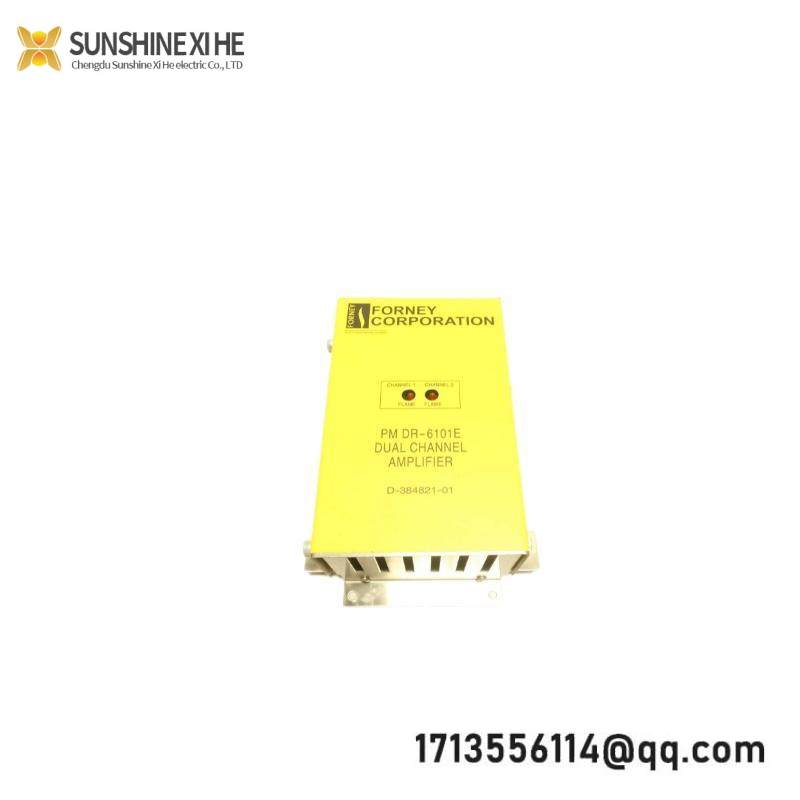 FORNEY RM DR6101E Dual Range Flame Amplifier