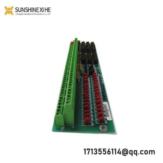 GE Fanuc DS200TBQCG1AAA  Terminal Panel