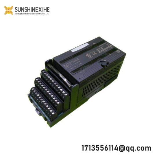 GE Fanuc IC200ALG266F input module