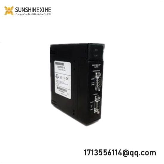 GE IC800BIK040