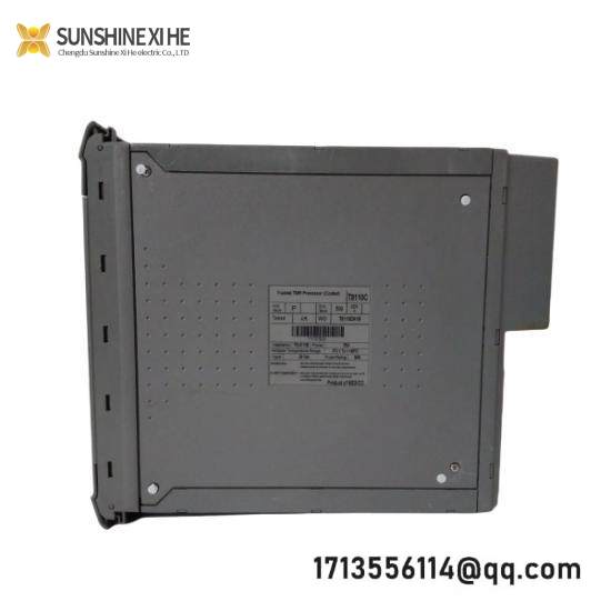 ICS TRIPLEX T8110C