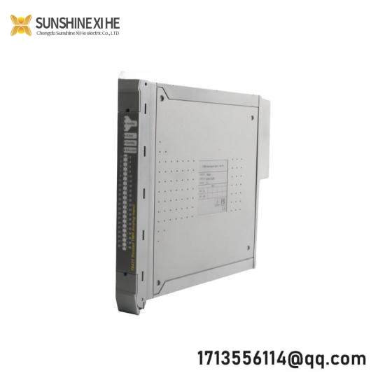 ICS TRIPLEX T8312-4