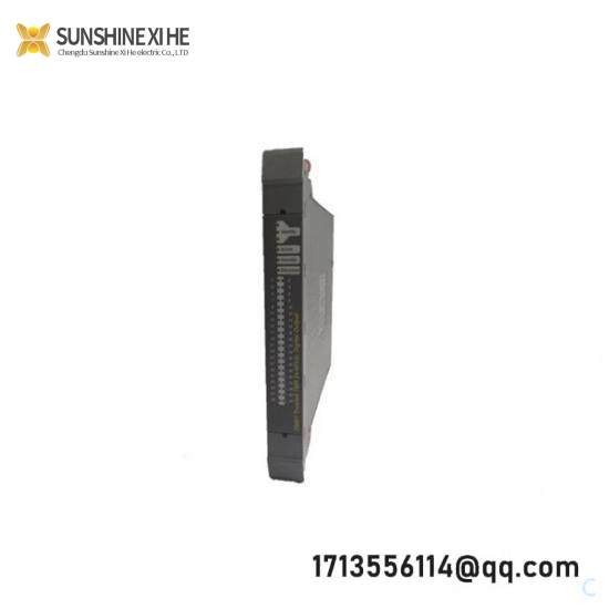 ICS TRIPLEX T8402 digital input module