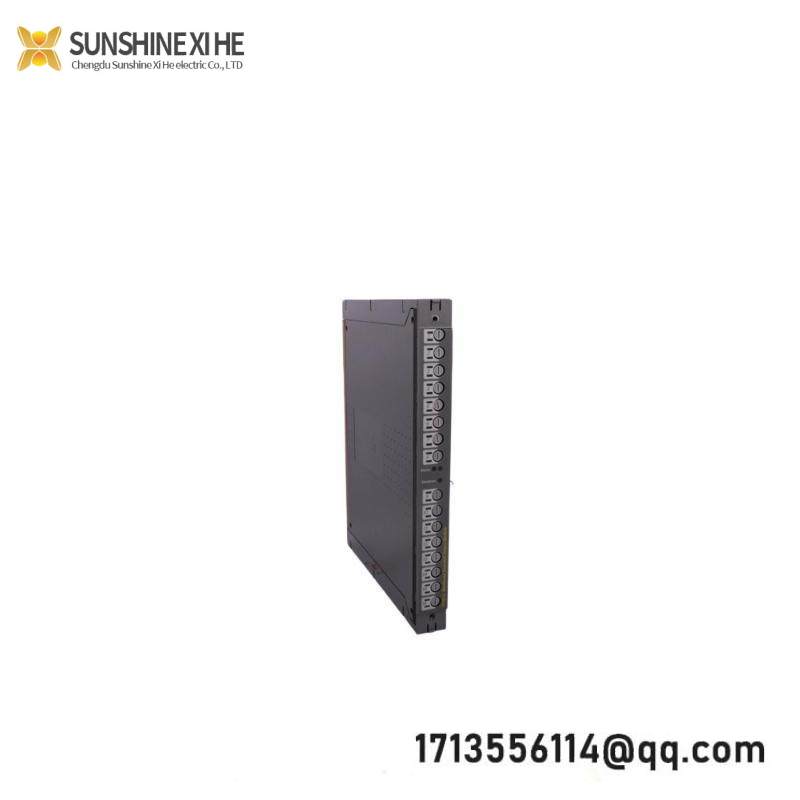 ICS TRIPLEX T8451 Module