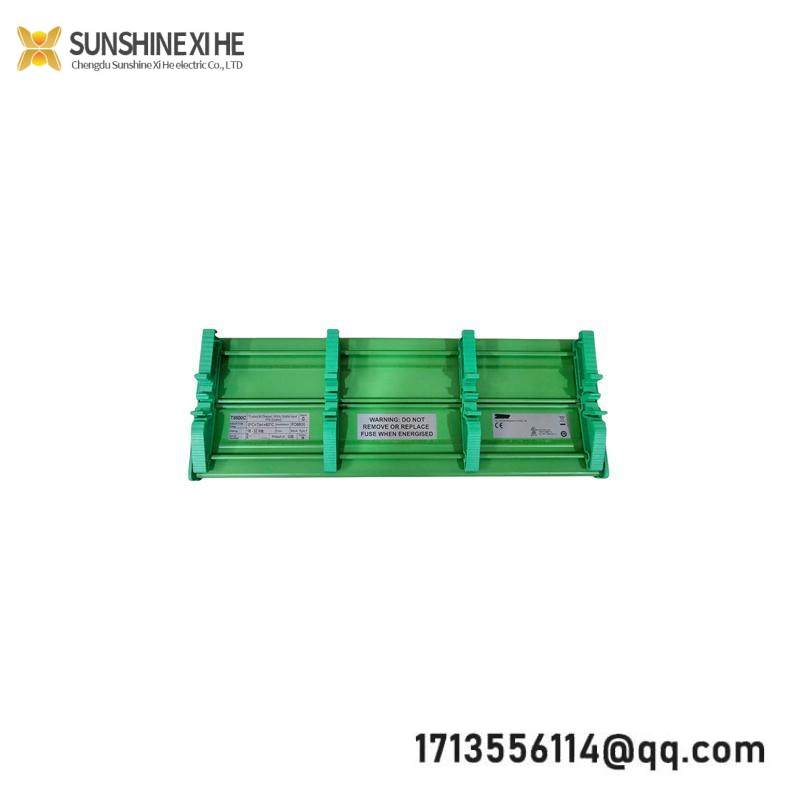 ICS Triplex T8800C Digital Input FTA