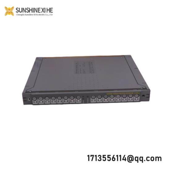 ICS TRIPLEX TC-301-02-2M0