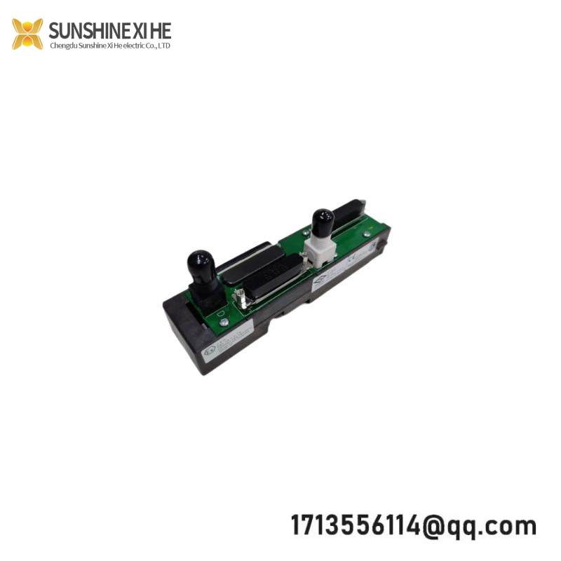 EMERSON KJ4001X1-NA1 12P3373X012 Dual right extender