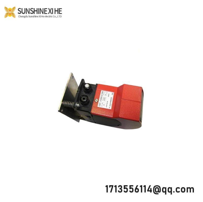 LEUZE DDLS 200/200.2-50-M12