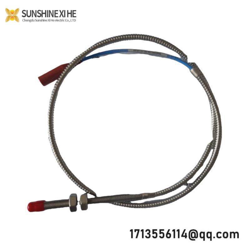 ProvibTech TM0180-A08-B00-C12-D10 Vibration probe/sensor