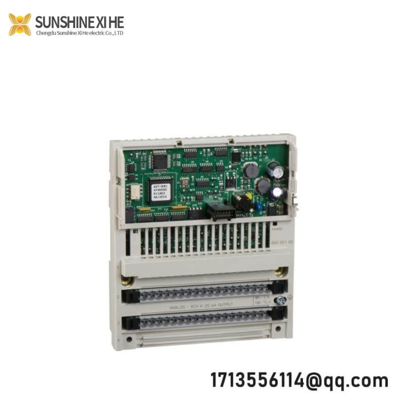 Schneider 170AAO92100 Analog Output