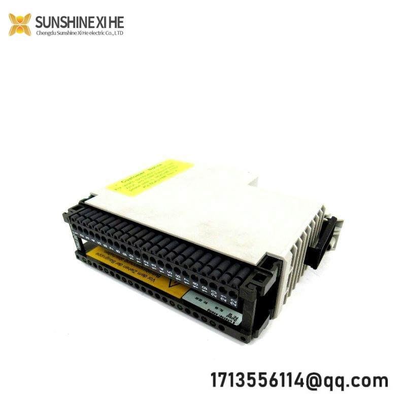 Schneider AS-BDAU-204 ANALOG OUTPUT MODULE