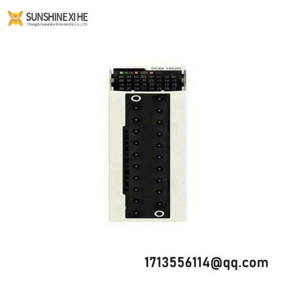 Schneider BMXDDO1602 discrete output module