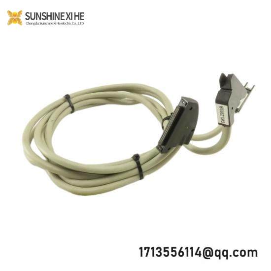 SCHNEIDER BMXFCC203