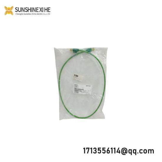 SIEMENS SMP-E217
