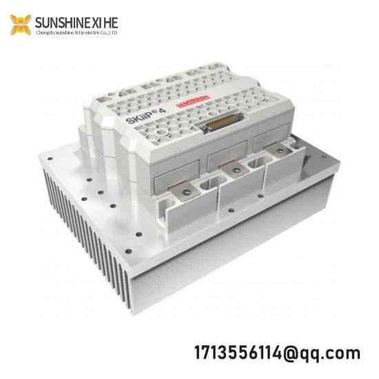 SKIIP 39AC12T4V1