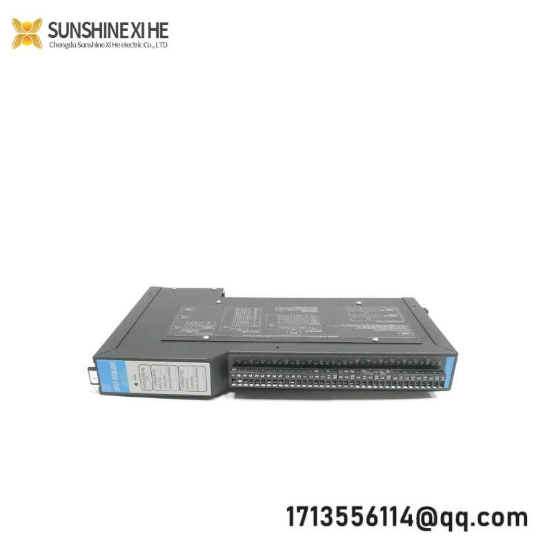 Square D SY/MAX 8030-RIM125 Analog Input