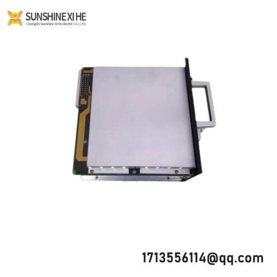 TEAM BL0308 PC0014-P