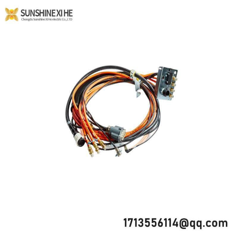TRICONEX 2481