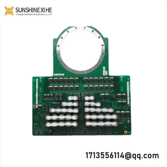 TRICONEX 2481